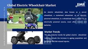 Global Electric Wheelchair & Mobility Scooter Market Share Analysis (2025)